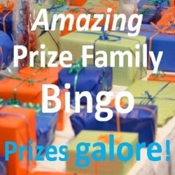 FAKE Bingo Amazing Family Prize