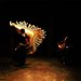 Promotional image for Flamencodanza