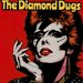 Promotional image for The Diamond Dugs (Present the Music of David Bowie)