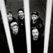 Promotional image for Pigs Pigs Pigs Pigs Pigs Pigs Pigs