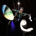 Promotional image for The Flying Bubble Show