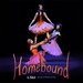 Promotional image for Homebound
