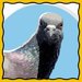Promotional image for Pigeon Syndrome