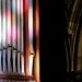 Promotional image for St Mary's Cathedral: Organ Recitals