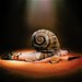 Promotional image for Bi-Curious George: Snail Trail
