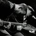 Promotional image for Blues Guitar Duo – Hot Tin Roof