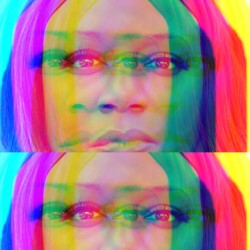 Notes from a Narcissistic Negro and Other N Words poster