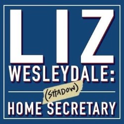 Liz Wesleydale: (Shadow) Home Secretary poster