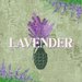 Promotional image for Lavender