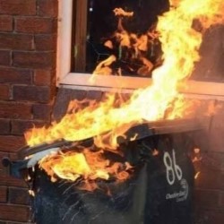 Bin Fire: The Best Comedians Try Their Worst Material