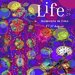 Promotional image for Life 2026 – Moments in Time