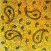 Promotional image for Paisley Patterns