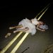 Promotional image for The Body I Left in Susquehanna National Forest