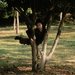Promotional image for Unbounded Growth
