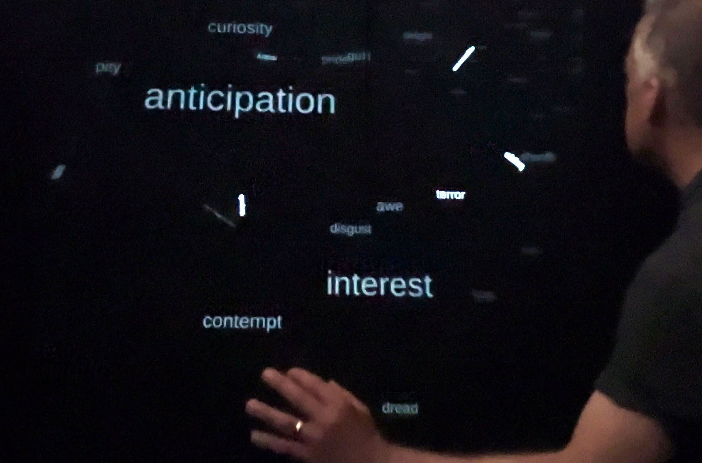 Morphological Murmurations